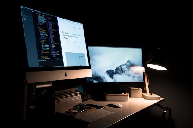 eCommerce Development by Black Ace Technology