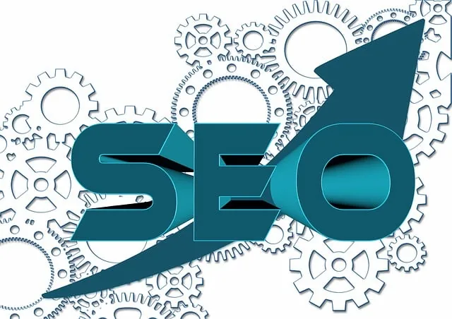 Search Engine Optimisation by Black Ace Technology